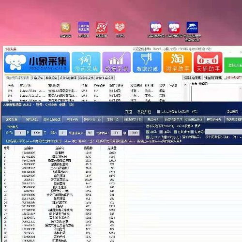 拼多多店群軟件與廣東商品分析工具 小象采集及軟件開發(fā)前景